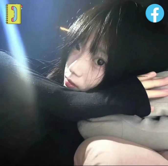 李洋会员